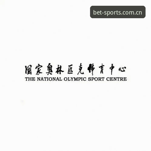 必博下载通道最新版 BSport体育必博下载通道最新版深度评测:安装包大小、版本稳定性和客服支持全解析